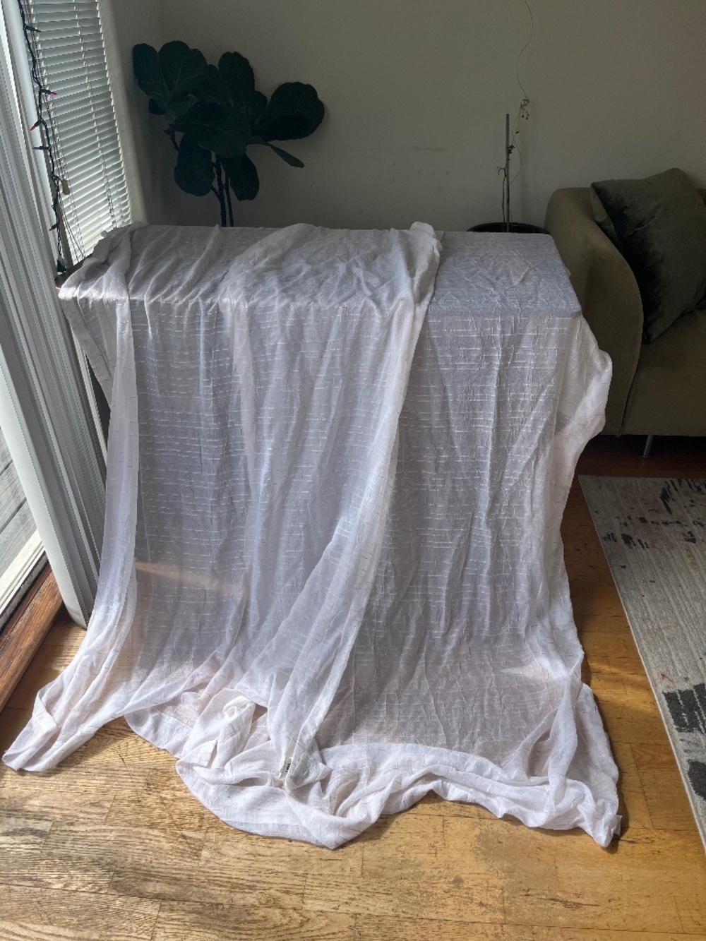 DKNY Sheer Curtain Panels